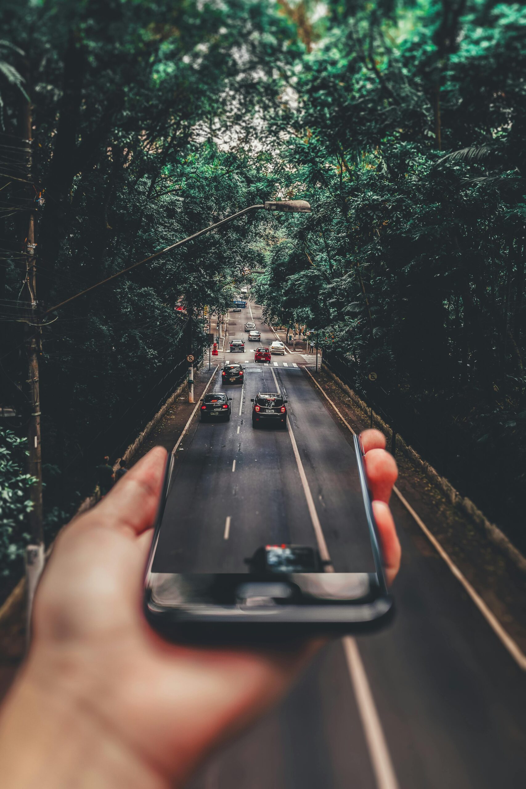 Creative blend of technology and nature with smartphone framing a bustling road through forest.